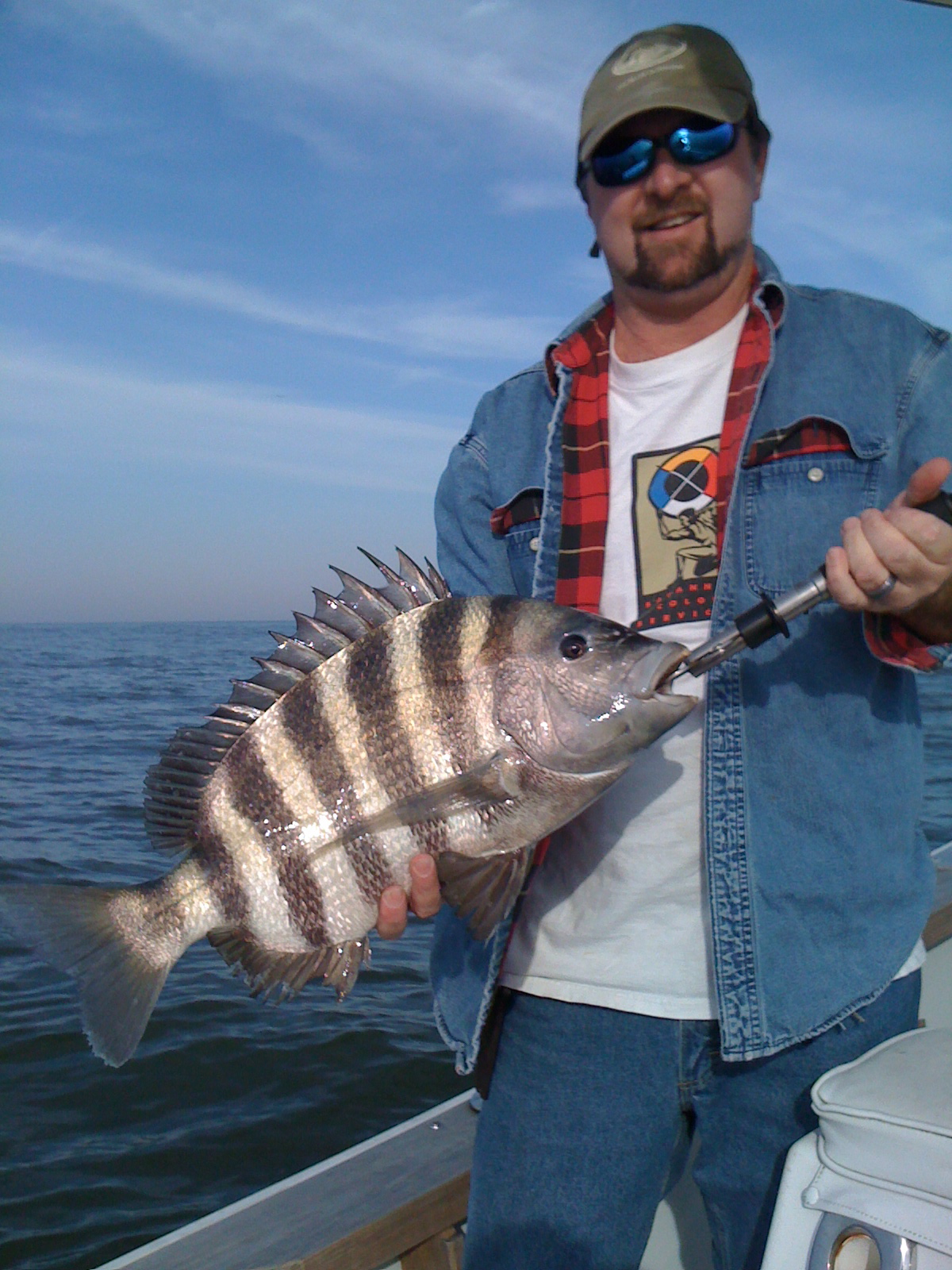 IMG_1222.jpg IMG_1222.jpg
