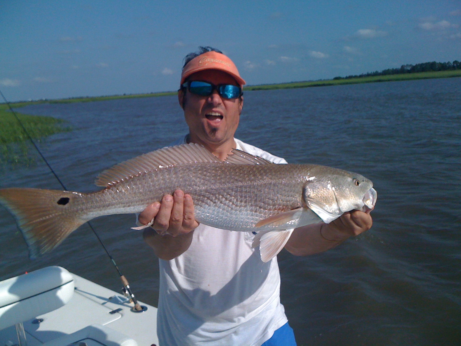 IMG_0539.JPG IMG_0539.JPG
