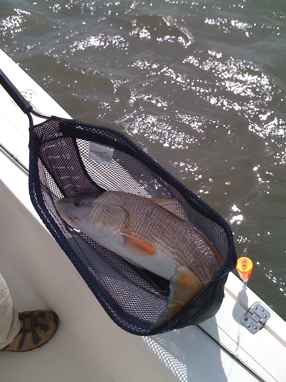 IMG_0701.jpg IMG_0701.jpg