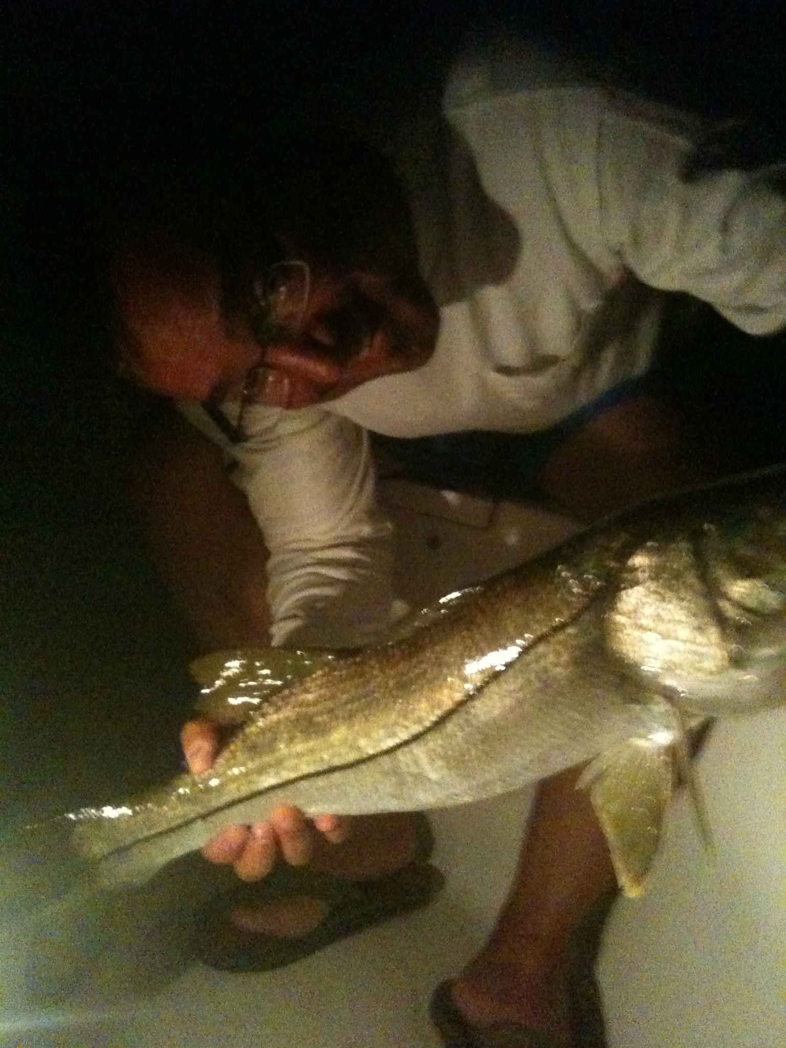 IMG_3623.jpg IMG_3623.jpg