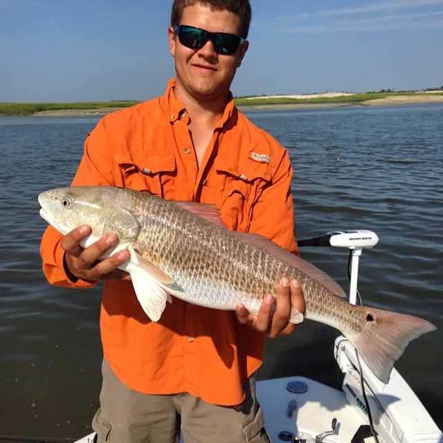 tasty bass.jpg tasty bass.jpg