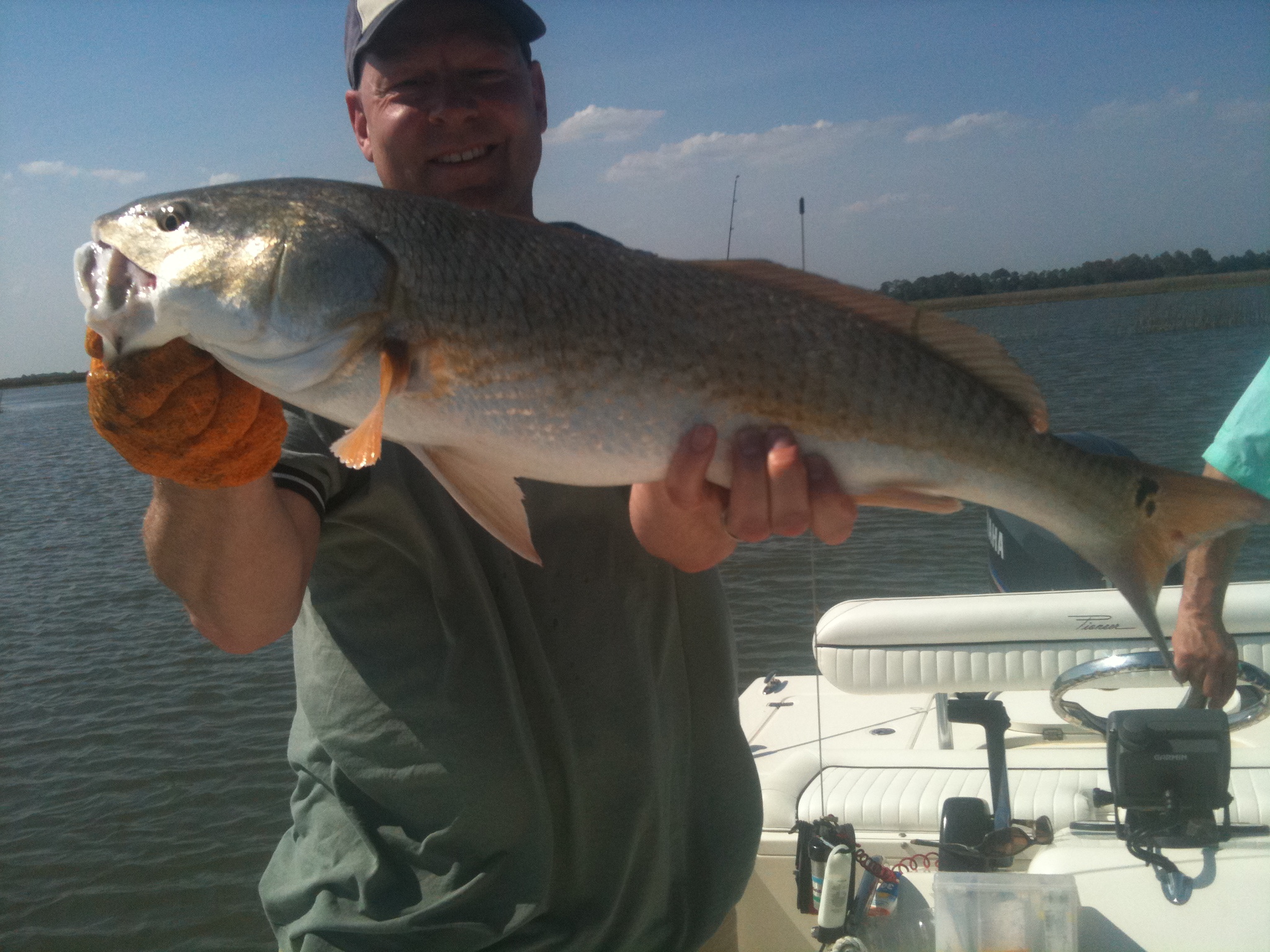 IMG_3112.JPG IMG_3112.JPG