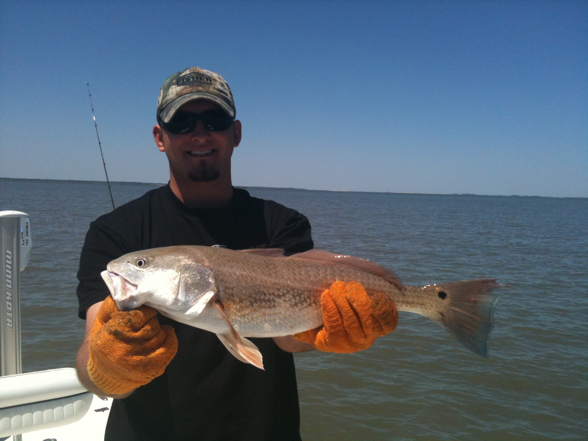 IMG_3422.JPG IMG_3422.JPG