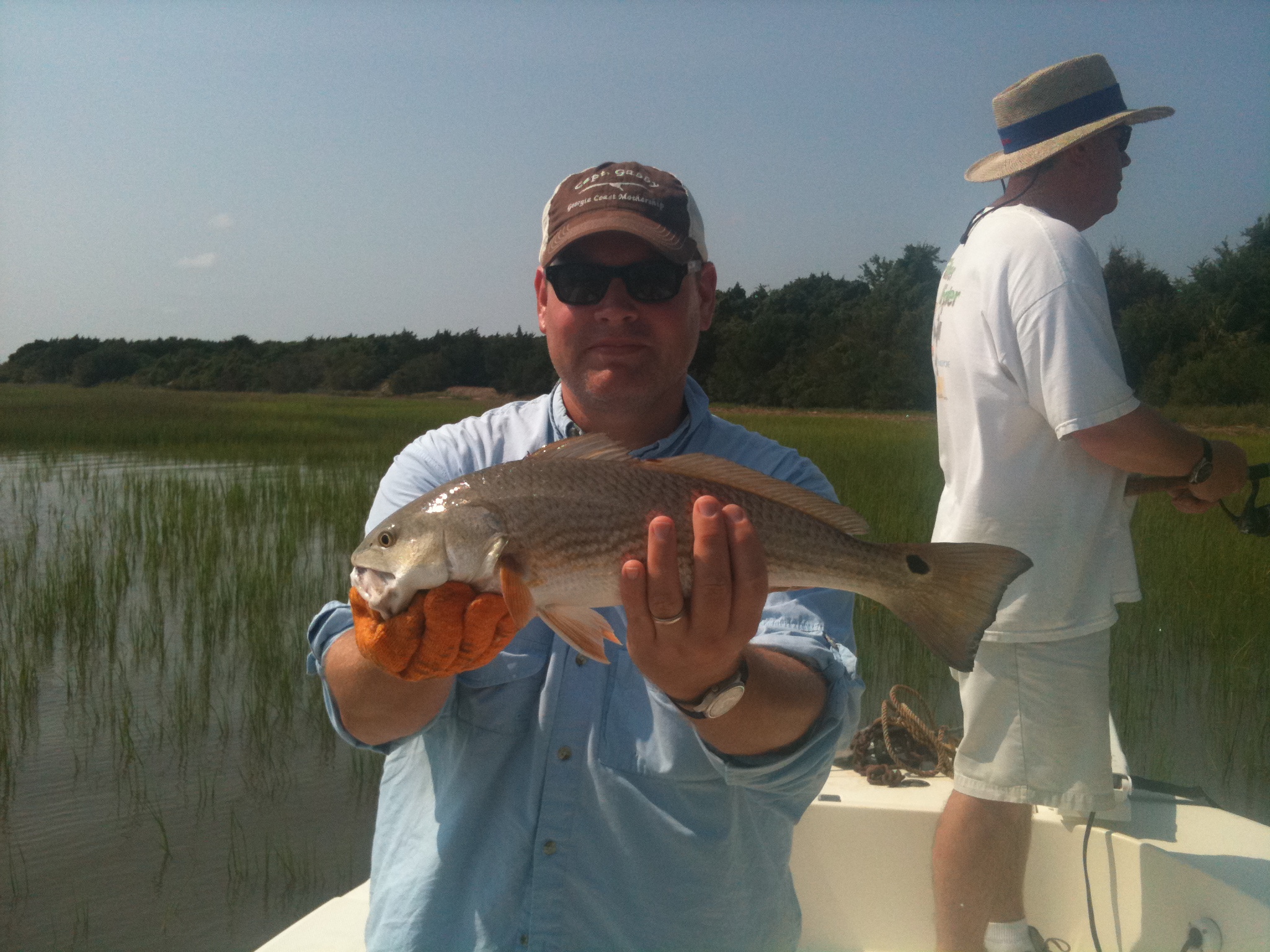 IMG_3642.JPG IMG_3642.JPG