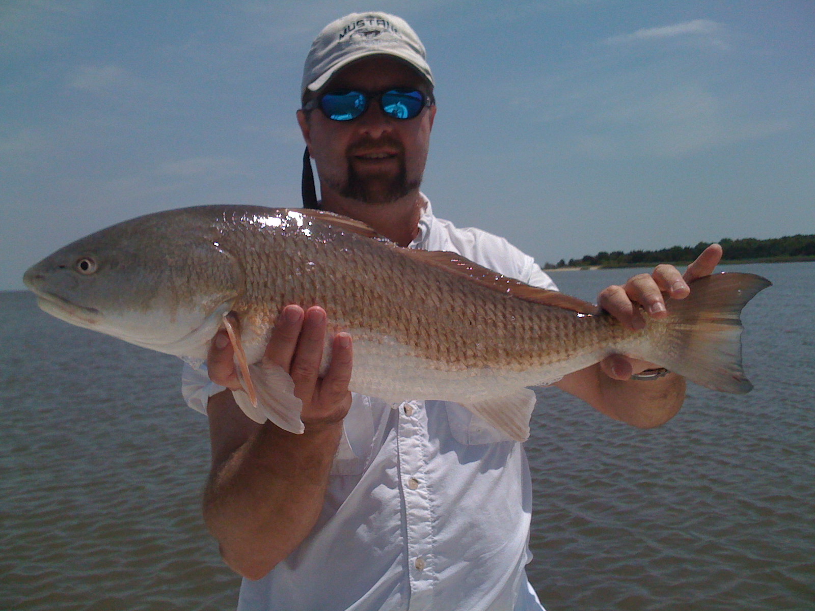 IMG_0208.JPG IMG_0208.JPG